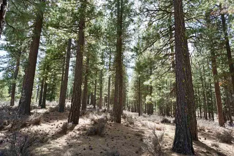 77 Cody Dr, Clio, CA 96106 photo 20