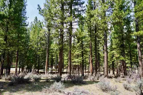 77 Cody Dr, Clio, CA 96106 photo 3