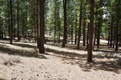 77 Cody Dr, Clio, CA 96106 photo 5
