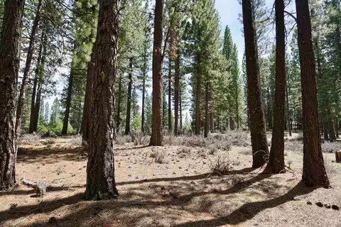 77 Cody Dr, Clio, CA 96106 photo 17
