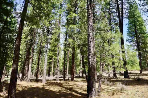77 Cody Dr, Clio, CA 96106 photo 10