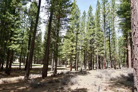 77 Cody Dr, Clio, CA 96106 photo 13
