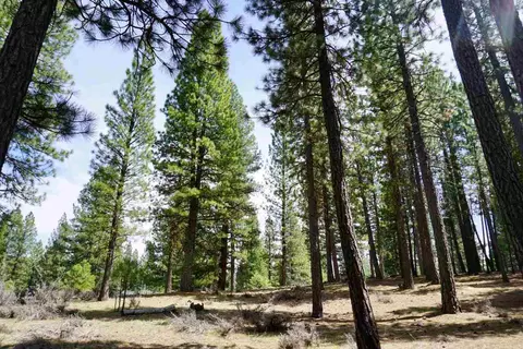 77 Cody Dr, Clio, CA 96106 photo 11