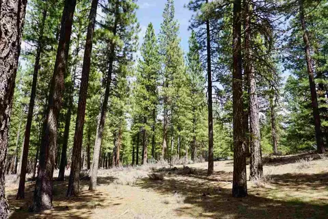 77 Cody Dr, Clio, CA 96106 photo 8
