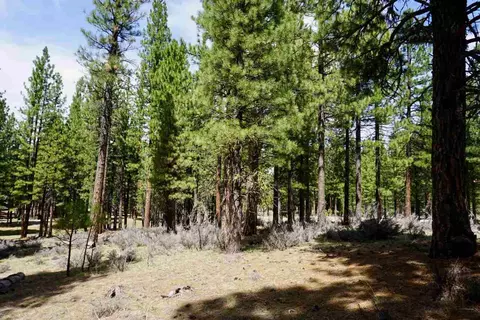 77 Cody Dr, Clio, CA 96106 photo 7