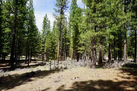 77 Cody Dr, Clio, CA 96106 photo 6