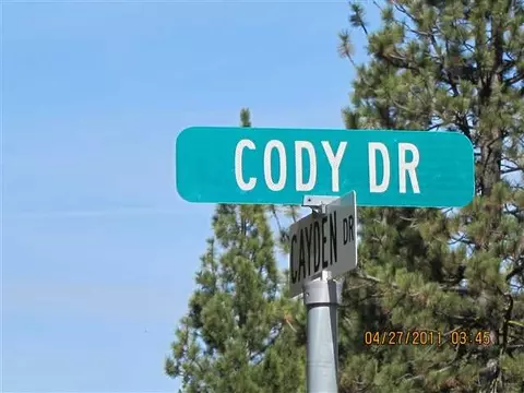 77 Cody Dr, Clio, CA 96106 photo 21