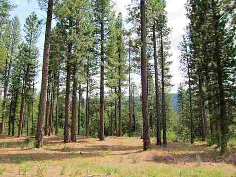 642 Bobcat Trl, Clio, CA 96106 photo 3