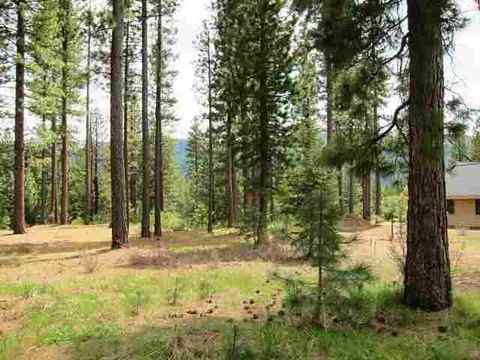 642 Bobcat Trl, Clio, CA 96106 photo 4