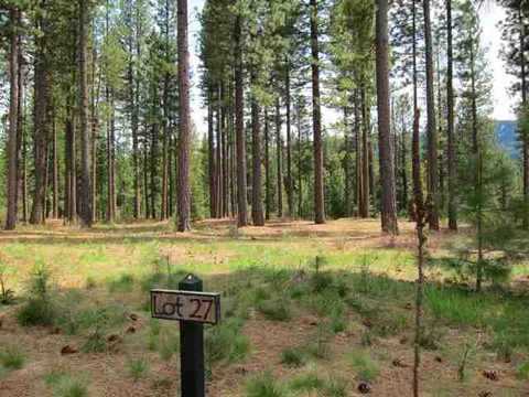 642 Bobcat Trl, Clio, CA 96106 photo 2