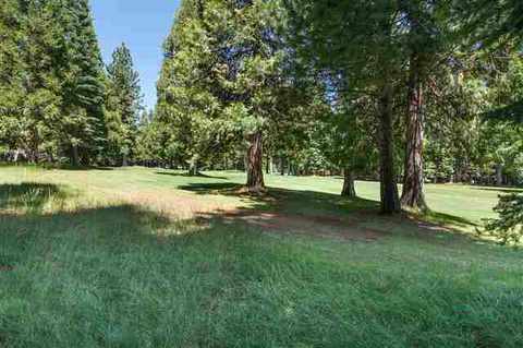341 Osprey Loop, Lake Almanor West, CA 96020 photo 19