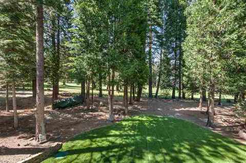 341 Osprey Loop, Lake Almanor West, CA 96020 photo 20