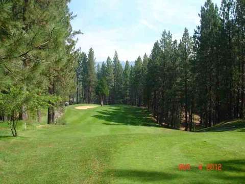 262 Tamarack Pl, Blairsden, CA 96103 photo 3