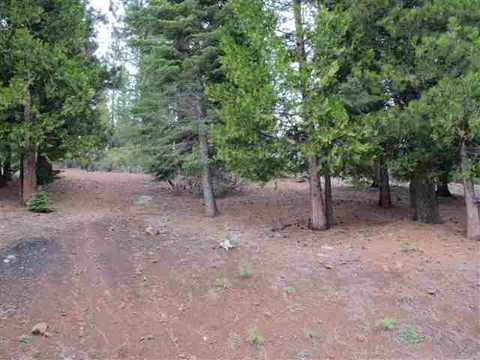 287 Osprey Loop, Lake Almanor West, CA 96020 photo 1