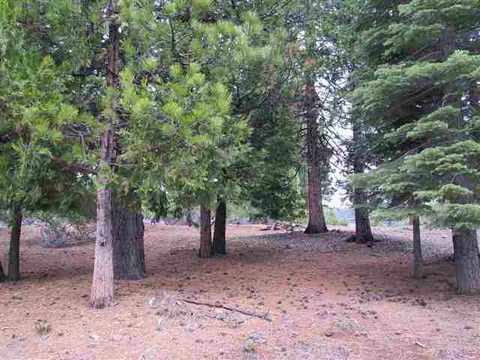 287 Osprey Loop, Lake Almanor West, CA 96020 photo 2