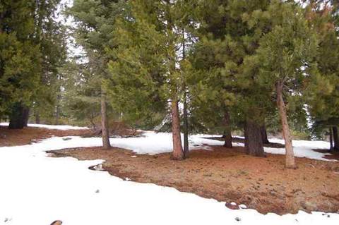 287 Osprey Loop, Lake Almanor West, CA 96020 photo 3
