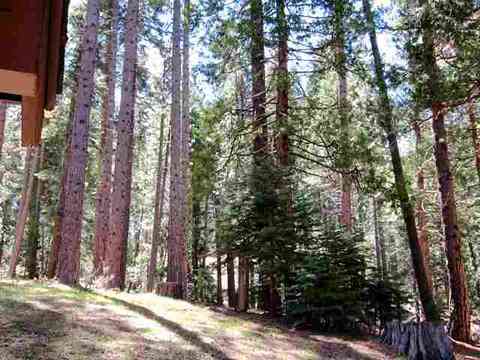 7 Sioux Trl, Graeagle, CA 96103 photo 16