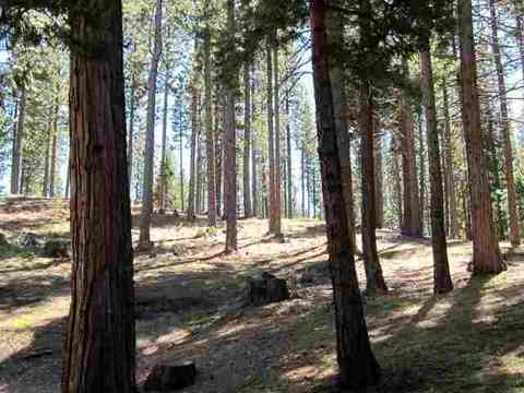 7 Sioux Trl, Graeagle, CA 96103 photo 17