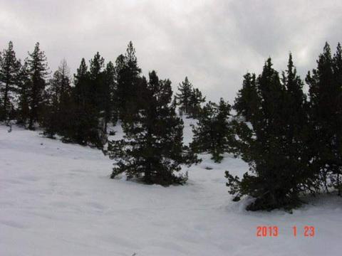 197 Clouds Rst, Clio, CA 96106 photo 3