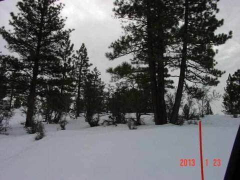 197 Clouds Rst, Clio, CA 96106 photo 1