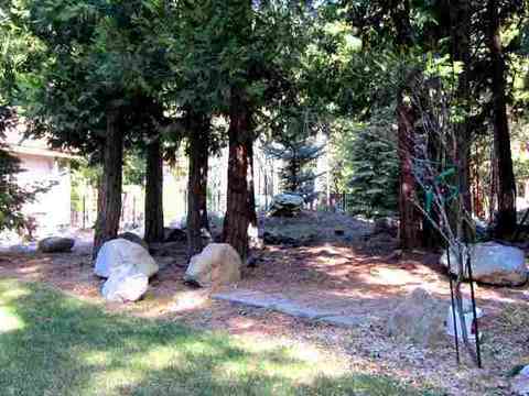 2 Mohave Trl, Graeagle, CA 96103 photo 18