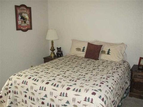370 Osprey Loop, Lake Almanor West, CA 96020 photo 13
