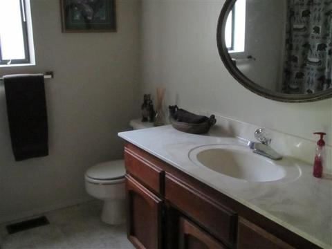 370 Osprey Loop, Lake Almanor West, CA 96020 photo 15