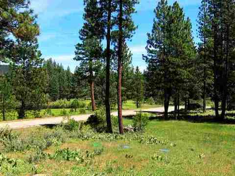 1130 Goldridge Dr, Graeagle, CA 96103 photo 5