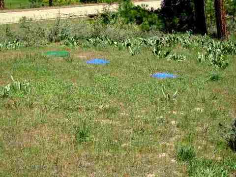 1130 Goldridge Dr, Graeagle, CA 96103 photo 8