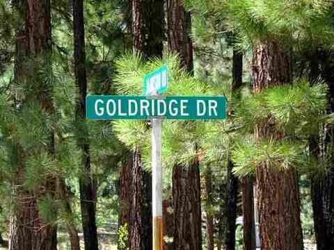 1130 Goldridge Dr, Graeagle, CA 96103 photo 9