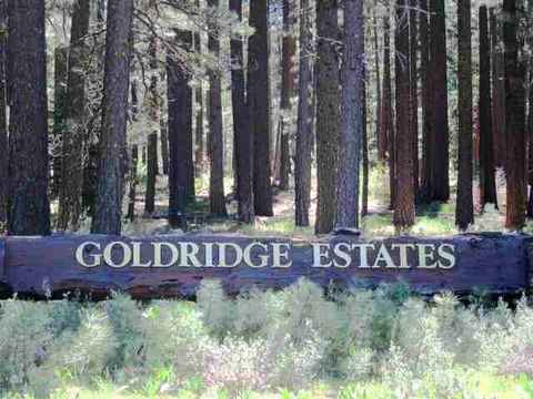 1130 Goldridge Dr, Graeagle, CA 96103 photo 10