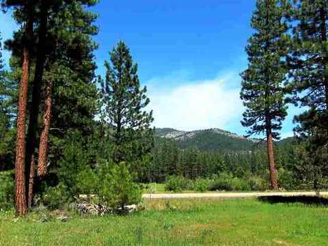 1130 Goldridge Dr, Graeagle, CA 96103 photo 1