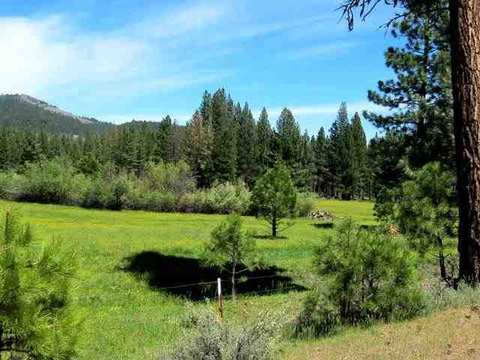 1130 Goldridge Dr, Graeagle, CA 96103 photo 7
