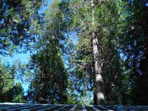 196 Riverview Ln, Twain, CA 95984 photo 19