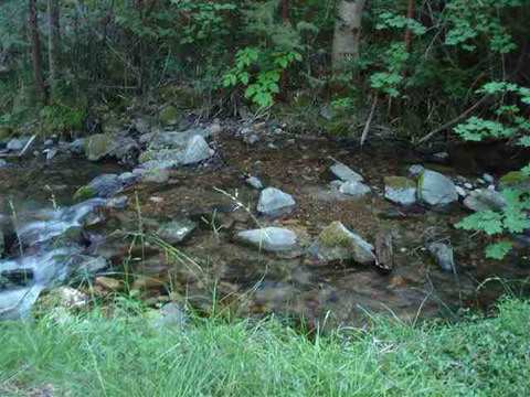 196 Riverview Ln, Twain, CA 95984 photo 4