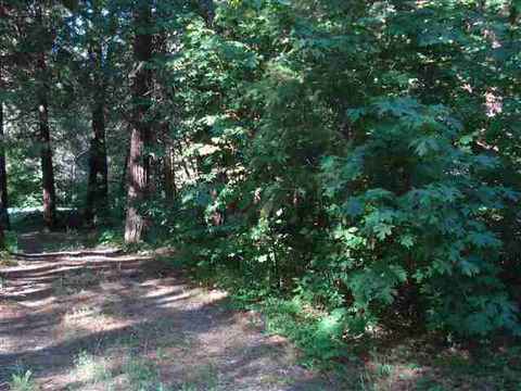 196 Riverview Ln, Twain, CA 95984 photo 16