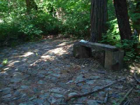 196 Riverview Ln, Twain, CA 95984 photo 13