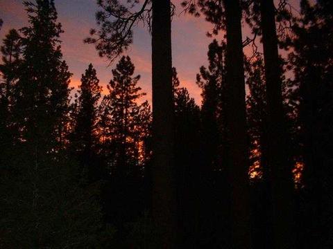 82 Tolowa Trl, Graeagle, CA 96103 photo 11