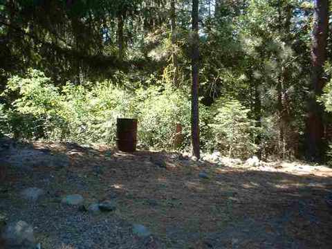 82 Tolowa Trl, Graeagle, CA 96103 photo 4