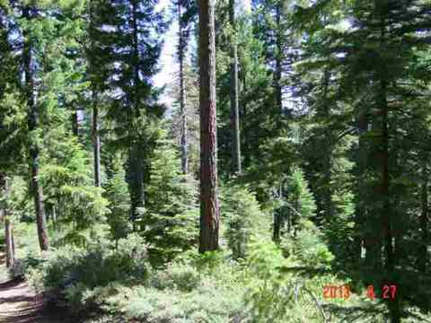 5401 Friendly Way, Clio, CA 96106 photo 1