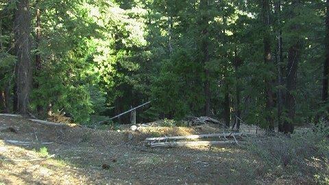 5401 Friendly Way, Clio, CA 96106 photo 5