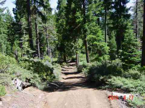 5401 Friendly Way, Clio, CA 96106 photo 2