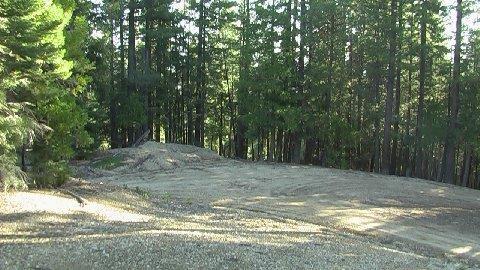 5401 Friendly Way, Clio, CA 96106 photo 4