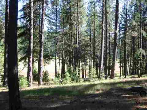 389 April Ln, Cromberg, CA 96103 photo 18