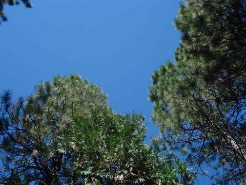 58736 Arrowhead Rd, Cromberg, CA 96103 photo 14