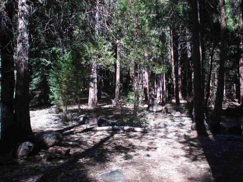 58736 Arrowhead Rd, Cromberg, CA 96103 photo 16