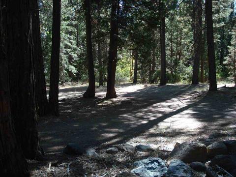 58736 Arrowhead Rd, Cromberg, CA 96103 photo 15