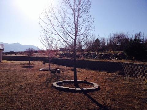 436-150 Dewey Ln, Doyle, CA 96109 photo 8