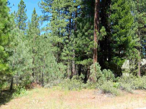 983 Penman Ln, Graeagle, CA 96103 photo 2