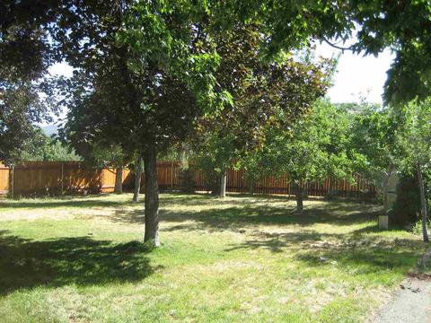 718 Roundup Dr, Loyalton, CA 96118 photo 18
